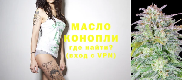 индика Липки
