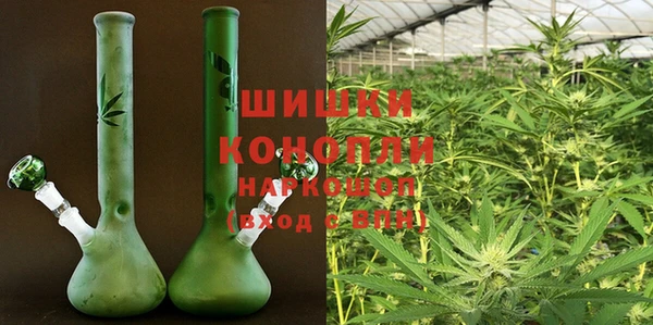 индика Липки
