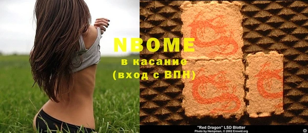 индика Липки