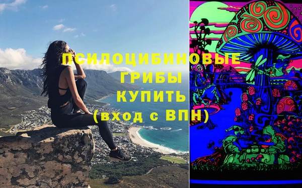 ГАЛЛЮЦИНОГЕННЫЕ ГРИБЫ Магас
