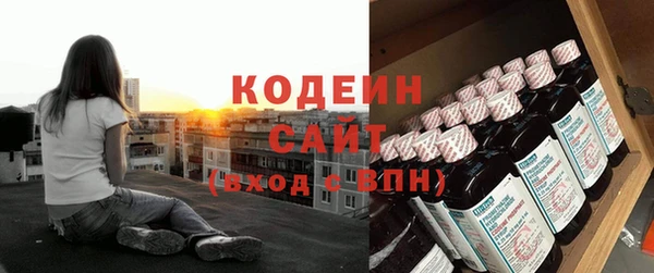 индика Липки